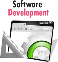 software development vs it